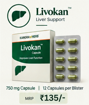 Livokan Liver support (12 Tablet)